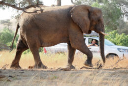 Namibia_August (83/135)